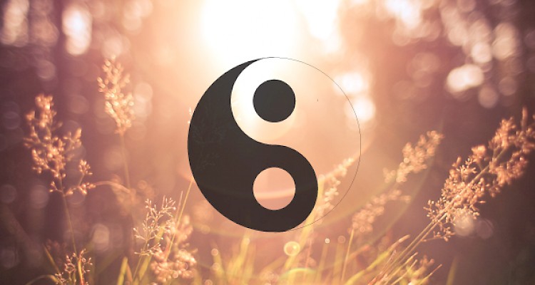 Macrobiotic and Chinese YinYang